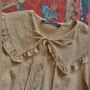 Collared button-up cropped shirt